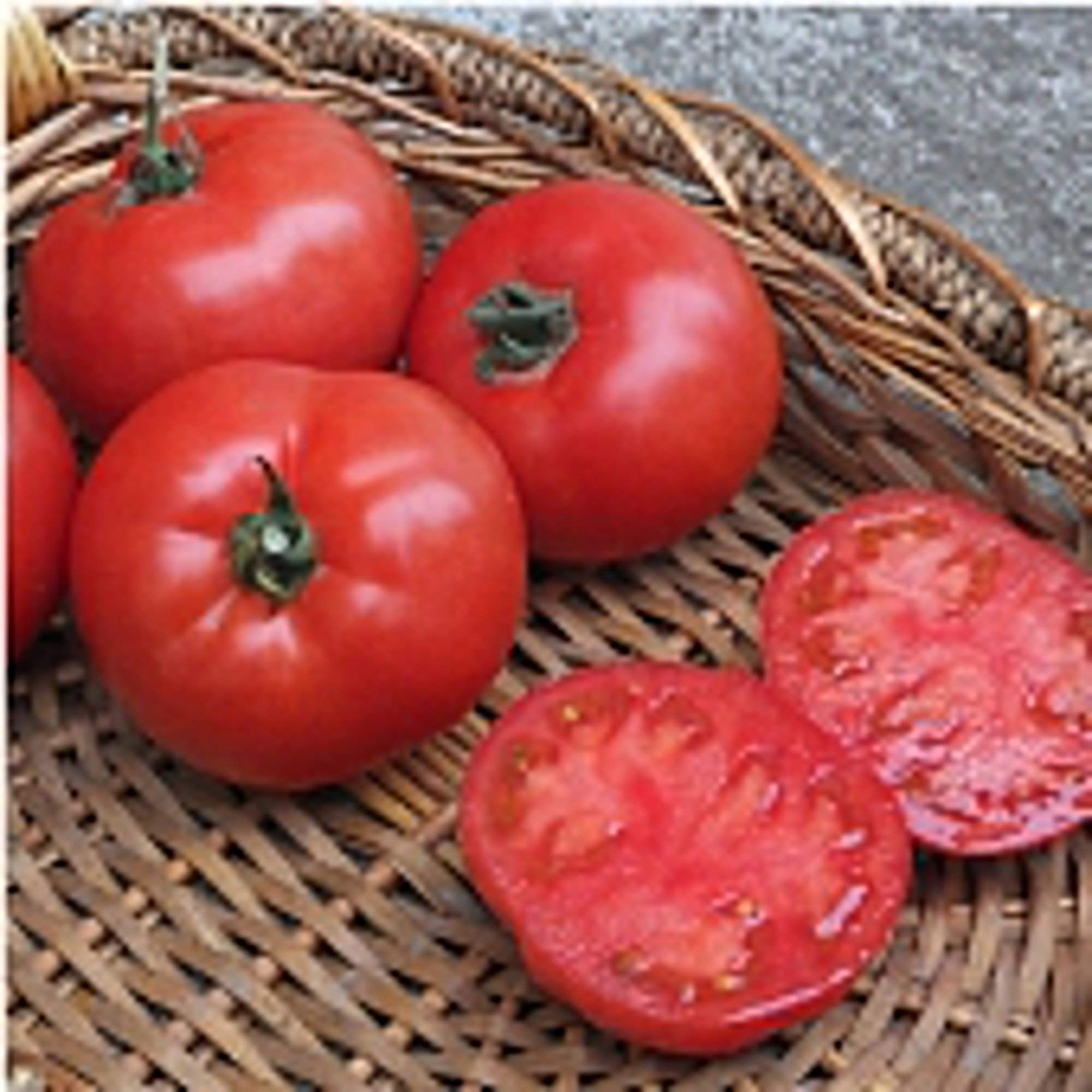 BHN 589 Tomato Seeds (20+ Seeds) - Non-GMO Heirloom Vegetable Seeds for Planting - Home Garden, Greenhouse, Backyard Farming - Perfect for Fresh Salads, Sauces & Canning