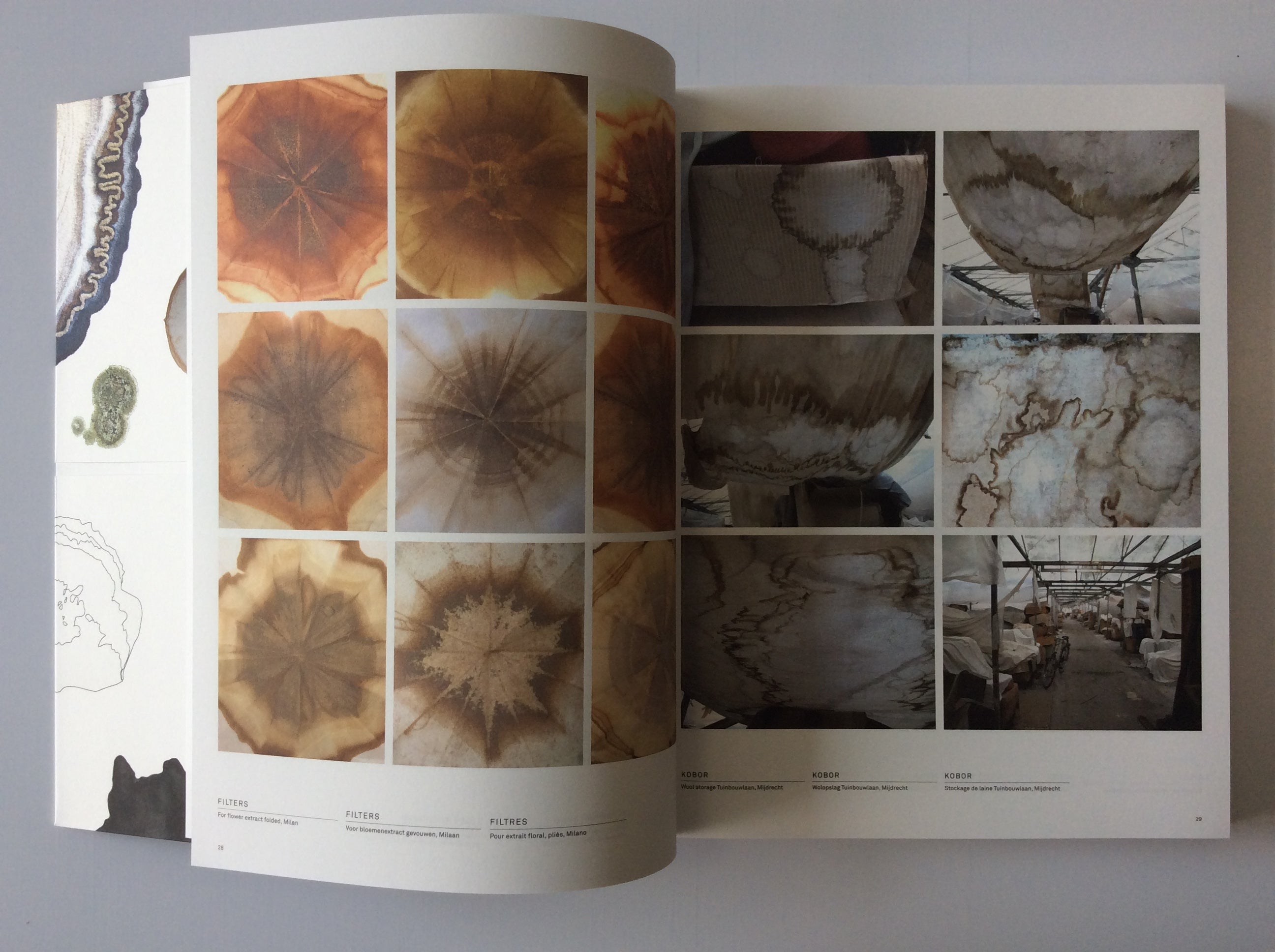 The Living Surface: A Unique Biology Book Exploring Stains & Microbial Life - Perfect for Science Enthusiasts & Classroom Learning