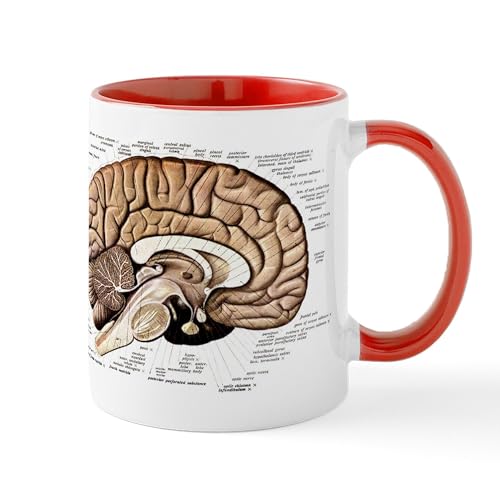 White/Red Inside - Human Brain Mug