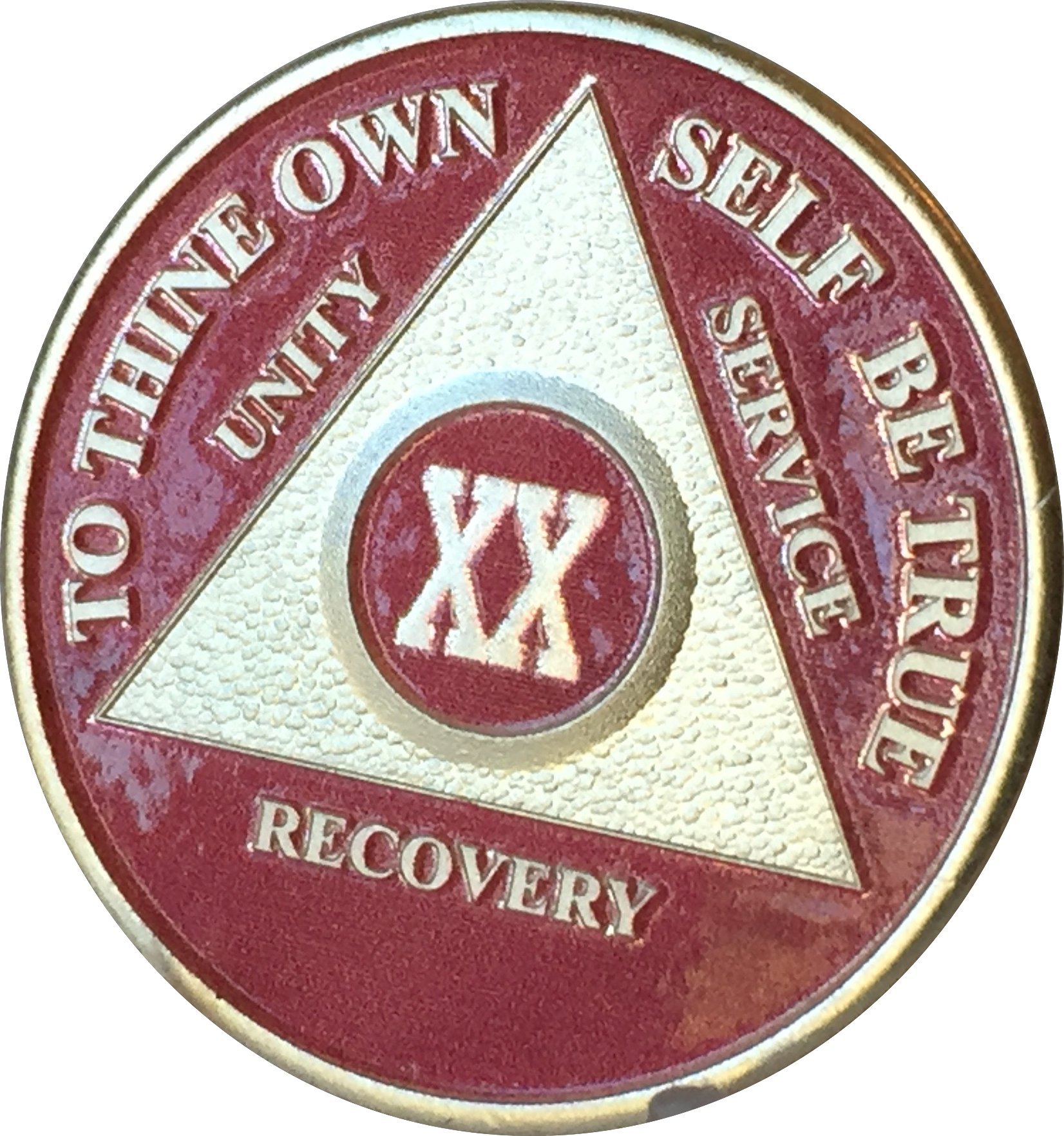 Wendells 20 Year Pink & Silver Plated AA Sobriety Medallion Chip with Vinyl Protector - Celebrate Sobriety Milestones & Recovery Anniversaries - Perfect for AA Meetings, Gifts & Personal Inspiration