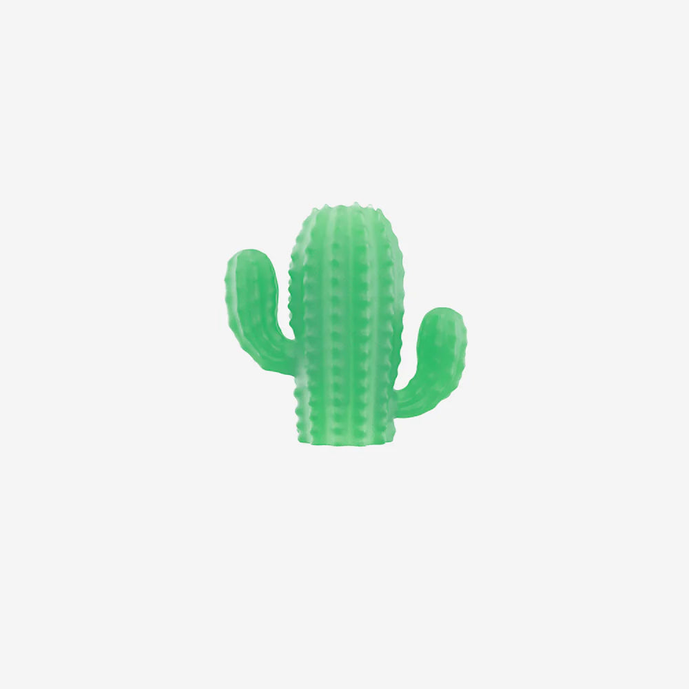 Zee.Pinz Cactus Charm for Hands-Free Dog Leash - Perfect for Walking, Running, and Outdoor Adventures with Your Pet