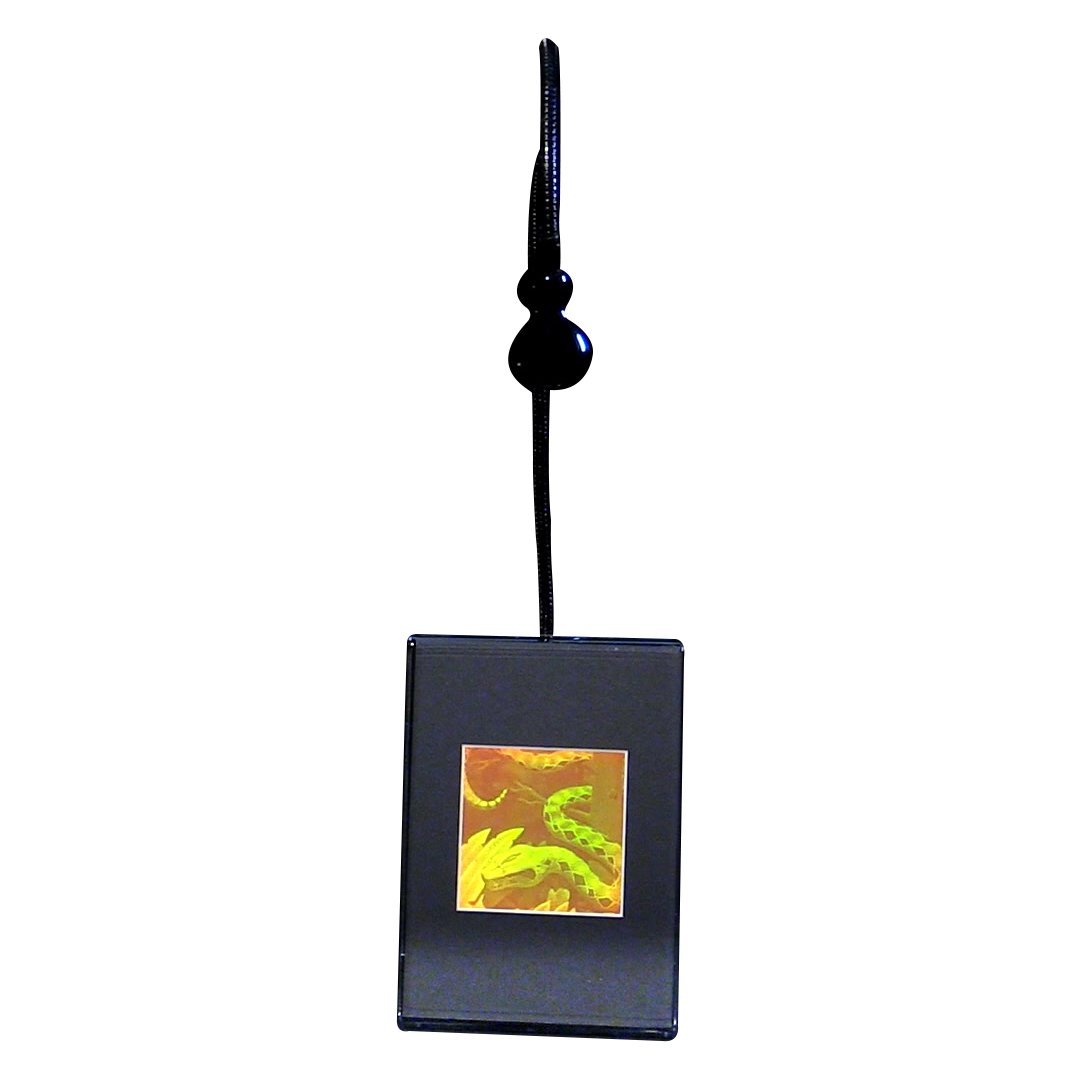 3D Snake Hologram Picture with LED Light Base - Photopolymer Film Holographic Art for Home/Office Decor, Unique Gift Idea for Snake Lovers - Perfect for Desk Display, Collection Showcase, and Themed Room Decoration