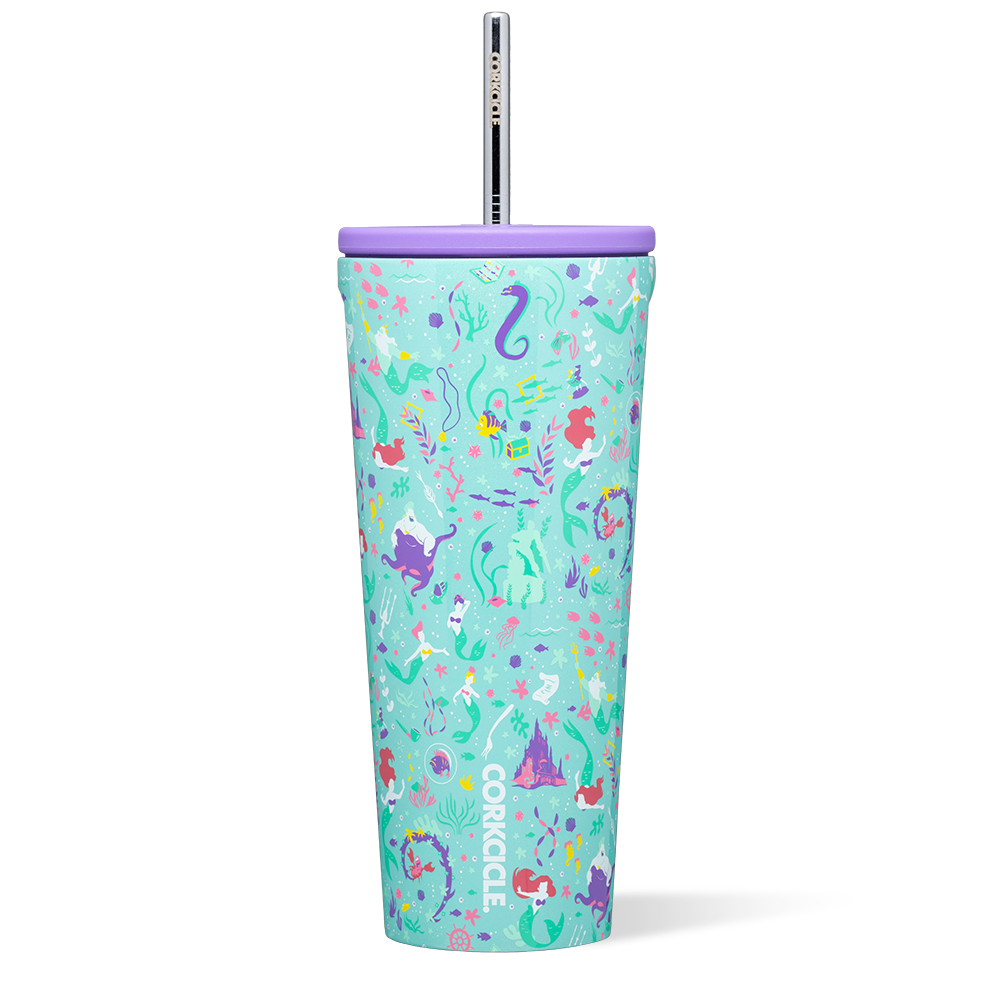 Disney Princess Stainless Steel Cold Cup with Straw - 20oz Insulated Tumbler for Kids, Leak-Proof & BPA-Free - Perfect for School, Travel, and Summer Drinks