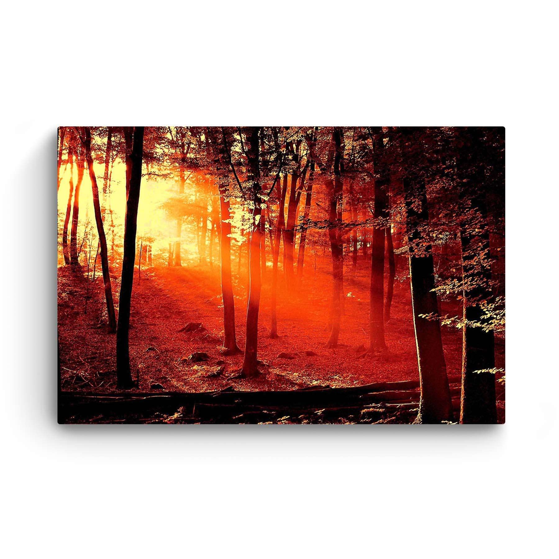 Startonight Red Sunrise Forest Canvas Wall Art - 32x48 Inch Large Stretched Nature Landscape Painting, Modern Luminous Home Decor for Living Room, Bedroom & Office - Perfect for Nature Lovers & Contemporary Interior Design