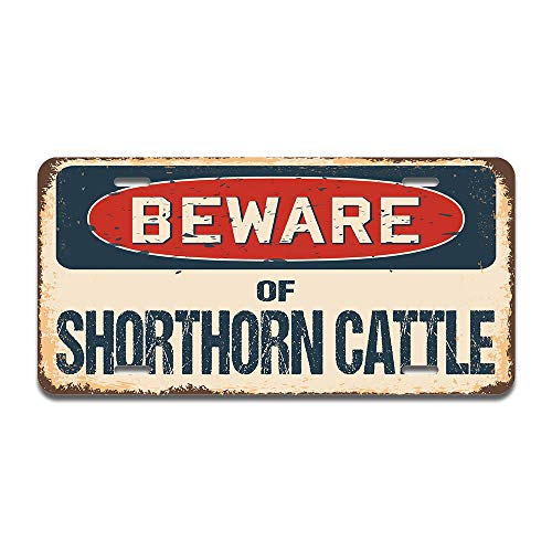 Beware of Shorthorn Cattle