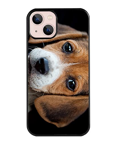 Beagle Puppy