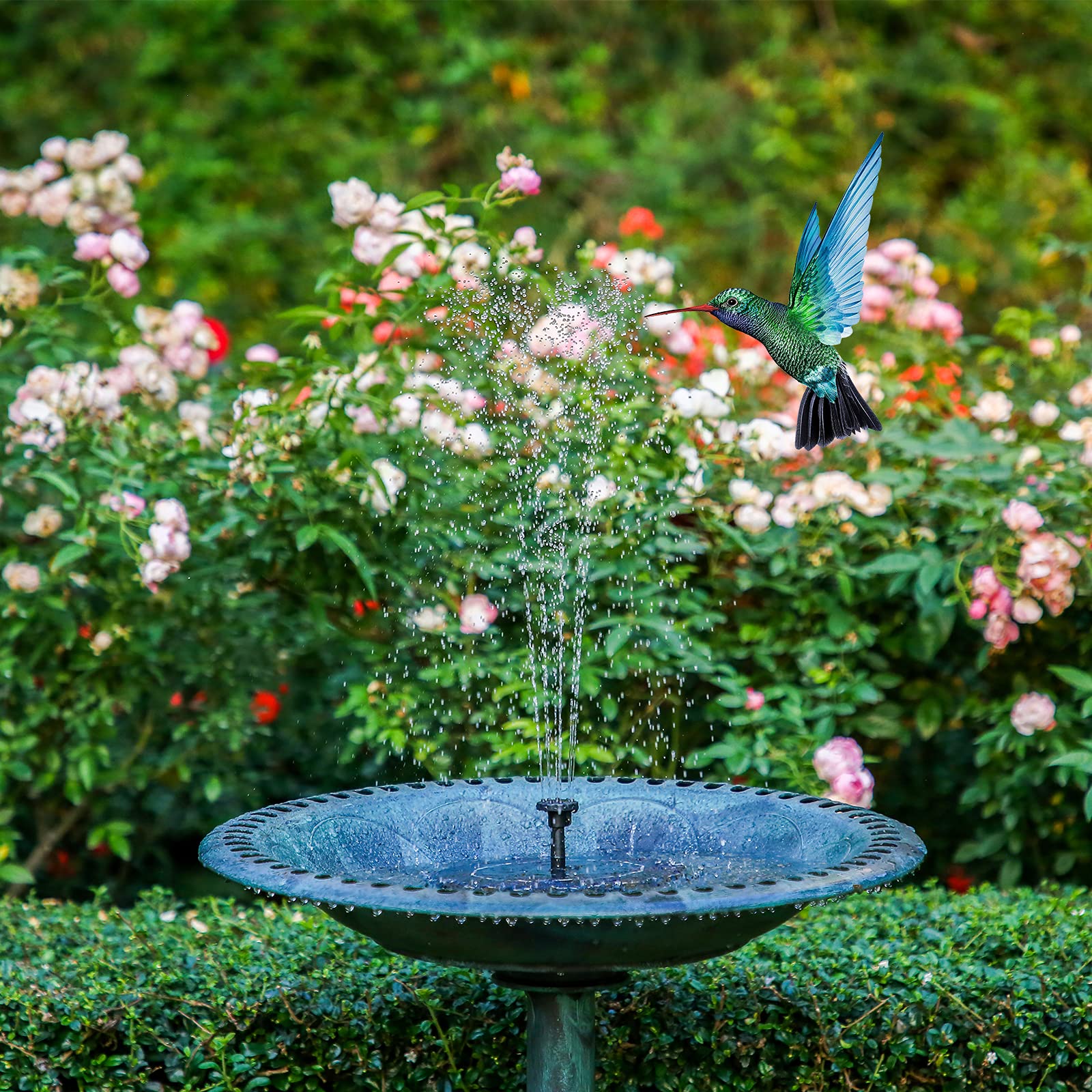 AISITIN 2.5W Solar Powered Bird Bath Fountain Pump with 6 Nozzles - Outdoor Solar Water Pump for Garden, Pond, Pool, Fish Tank & Aquarium | Perfect for Attracting Birds & Enhancing Outdoor Decor