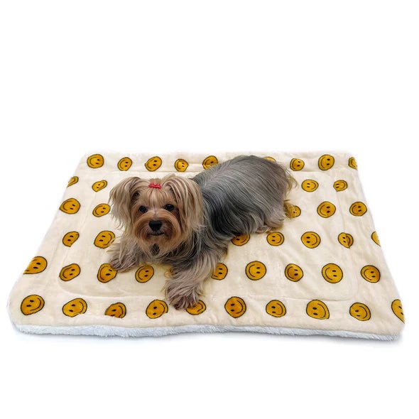 Double Layer Ultra Plush Happy Face Fleece Blanket - Soft Cozy Throw for Bed, Couch & Gift Giving - Perfect for Netflix Nights, Camping & Winter Warmth