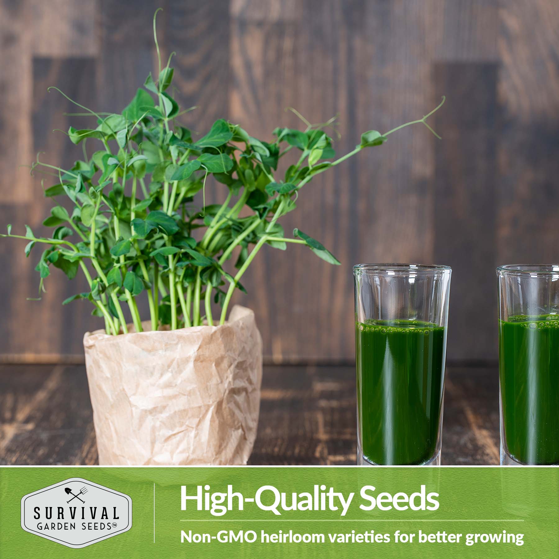 Organic Sugar Peas Microgreens Seeds for Home Gardening - Non-GMO, High Germination Rate | Perfect for Salads, Sandwiches & Healthy Smoothies