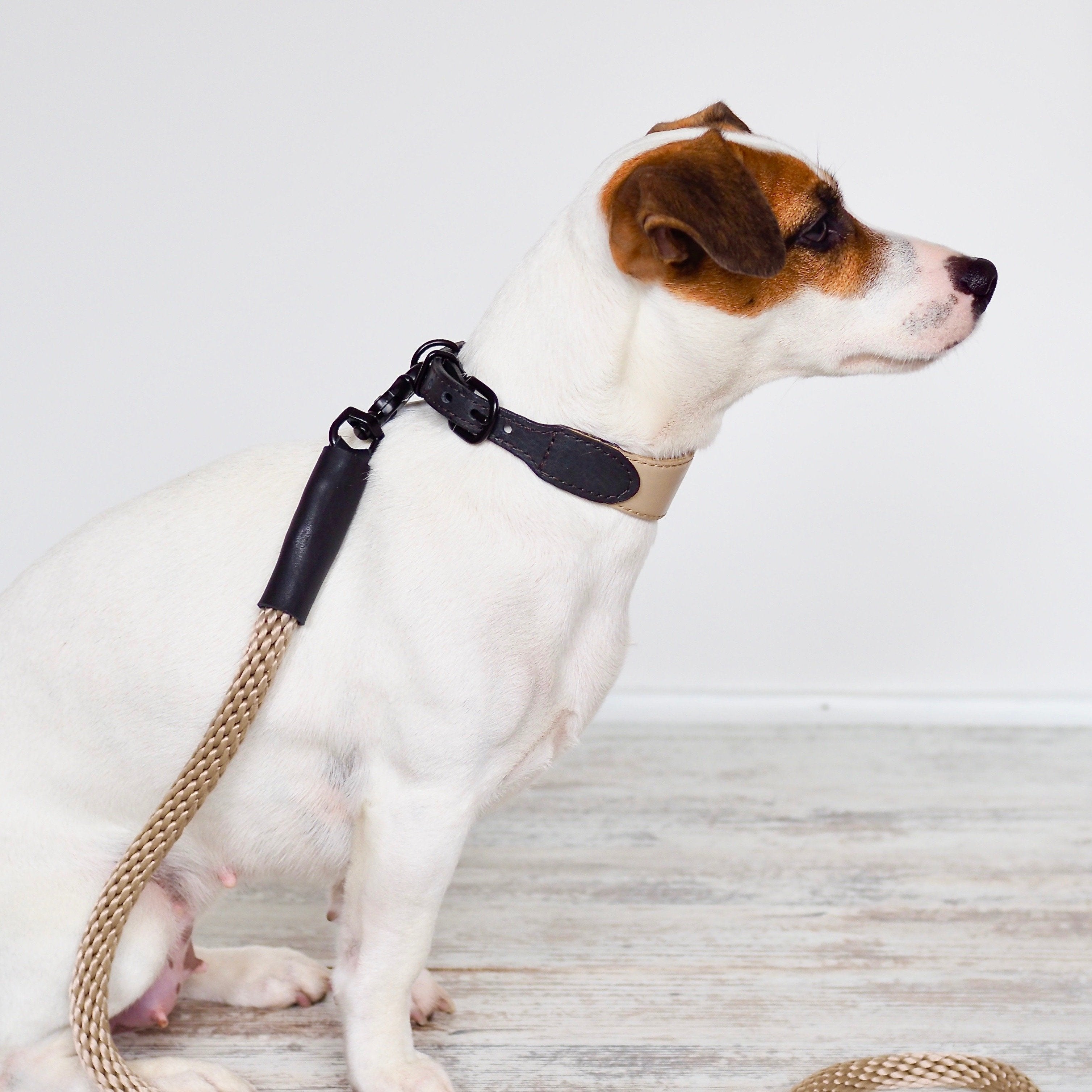 Stylish Beige & Black Dog Collar with Pony Knot Design - Perfect for Daily Walks, Training, and Outdoor Adventures