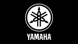 Genuine Yamaha MAG Cover Gasket for YZ250 1999-2021 - Perfect for Dirt Bike Engine Maintenance & Off-Road Riding Protection