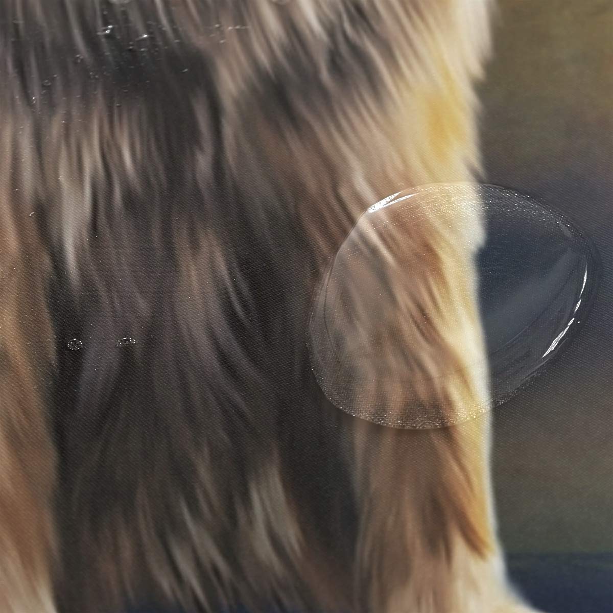 ALAZA Leonberger Dog Shower Curtain 66 x 72 Inch - Waterproof Polyester Bathroom Decor with Hooks - Perfect for Pet Lover's Bathroom, Dog Theme Home Decor