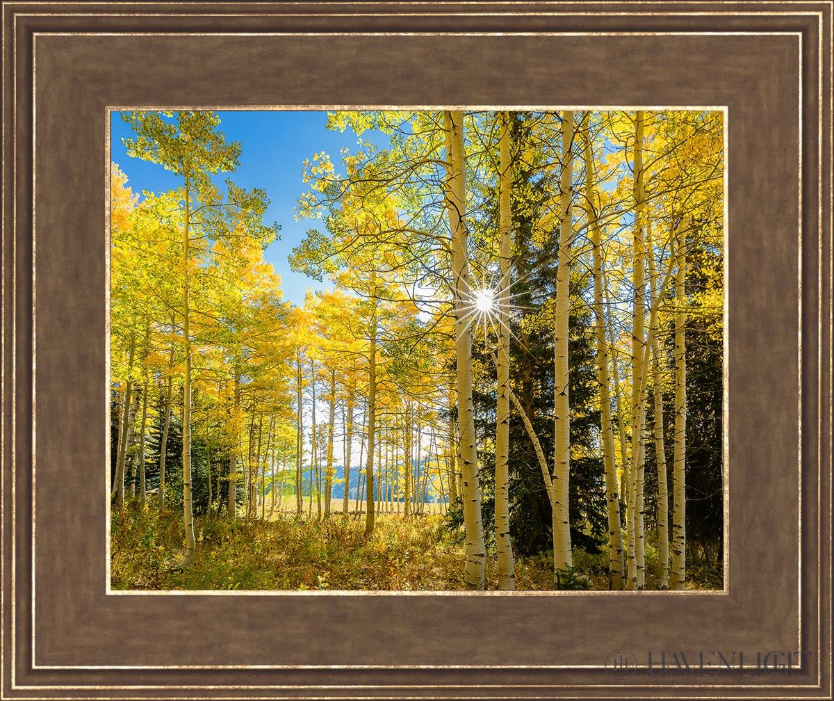 Autumn in the Rocky Mountains - Stunning Fall Foliage at Wasatch National Forest Utah | Perfect for Hiking, Photography & Nature Exploration