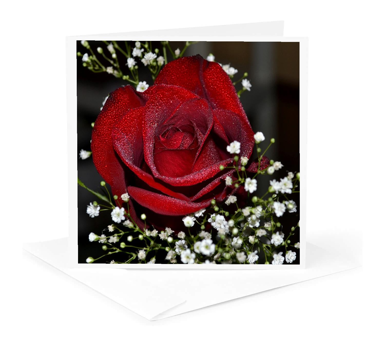 3dRose 009 Red Rose Greeting Cards - Set of 12 (6x6 Inches) | Beautiful Floral Stationery for Birthdays, Anniversaries & Thank You Notes | Perfect for Handwritten Messages & Special Occasions