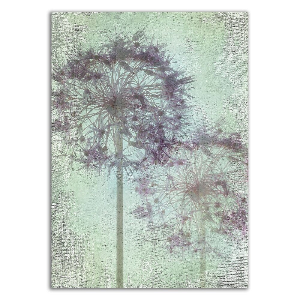 Allium Globe Master by Judy Stalus - Premium Canvas Wall Art Print - Ready to Hang - Perfect for Living Room, Bedroom & Office Decor