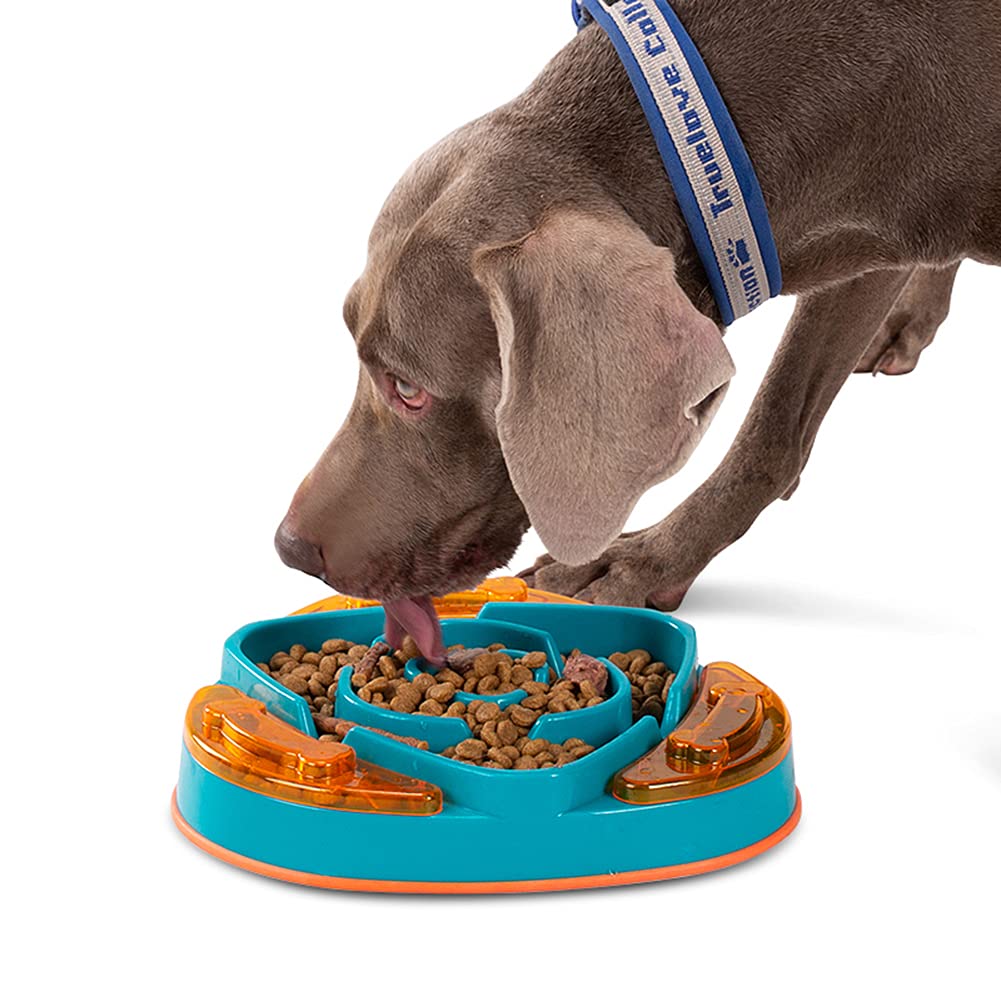Rantow Double Non-Slip Slow Feeder Dog Bowls - Stainless Steel Pet Food & Water Dish for Small Medium Dogs & Cats - Perfect for Mealtime & Travel Use