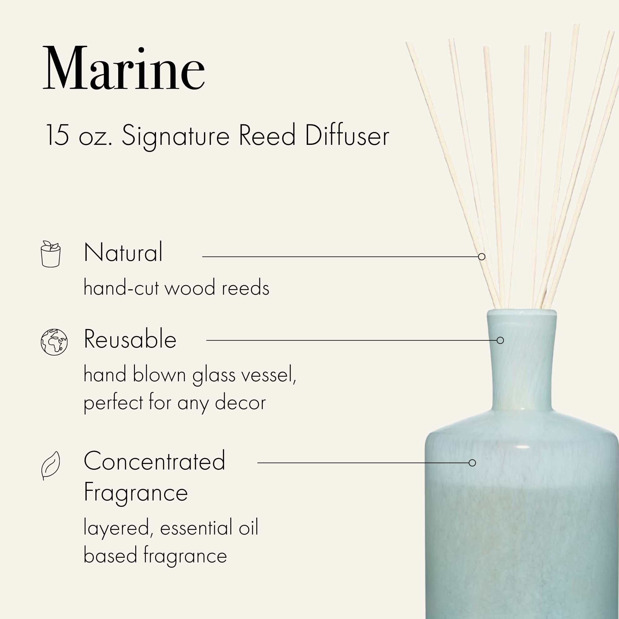 LAFCO New York Signature Reed Diffuser - Marine Scent, 15 oz | Long-Lasting 9-Month Fragrance | Handcrafted Glass Vessel & Natural Wood Reeds | Made in USA | Perfect for Home, Office & Spa Relaxation
