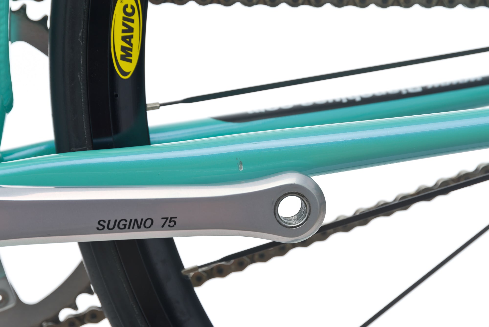 Bianchi Pista Concept 59cm Single Speed Fixed Gear Bike - Urban Commuter & Track Racing Bicycle for Men & Women - Perfect for City Riding, Fitness & Velodrome Training