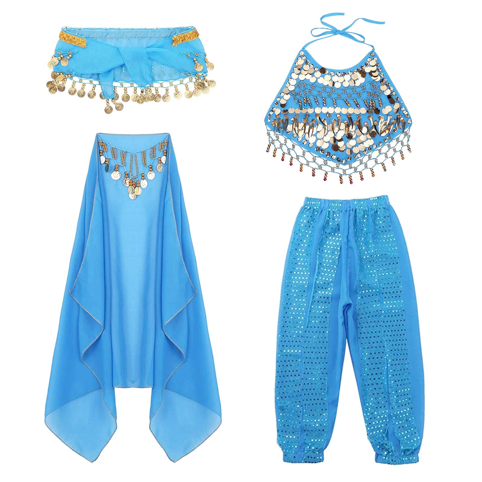 Janjunsi 4 Piece Women's Chiffon Sequins Belly Dance Outfit - Elegant Indian Dance Dress for Performances, Parties, and Festivals