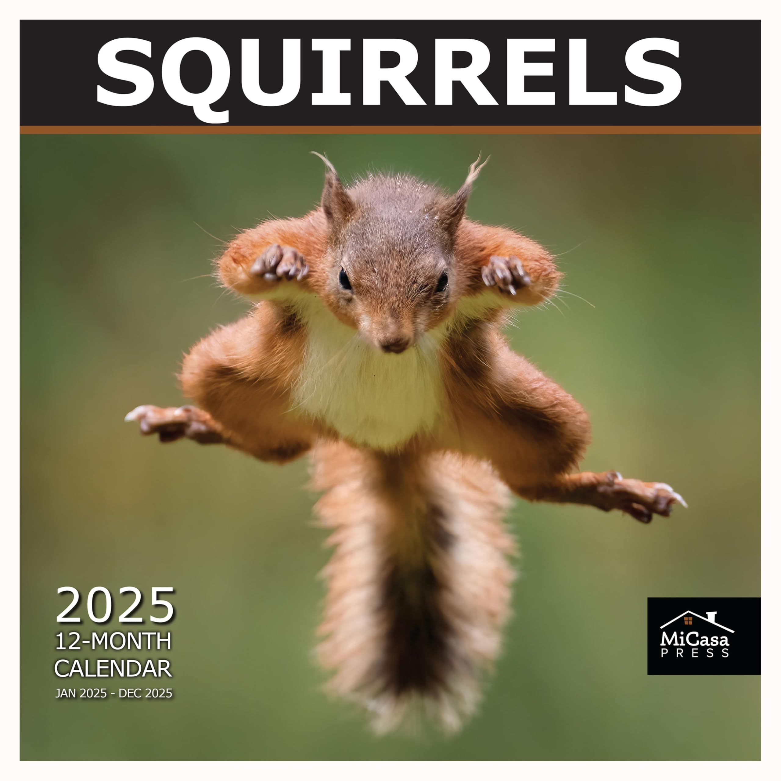 MICASA Squirrels 2025 Wall Calendar - 12 Month Large (12x24 Inches) with Thick Sturdy Paper | Perfect Home & Office Decor | Great Gift Idea for Nature Lovers | Use for Planning, School, or Work Schedules