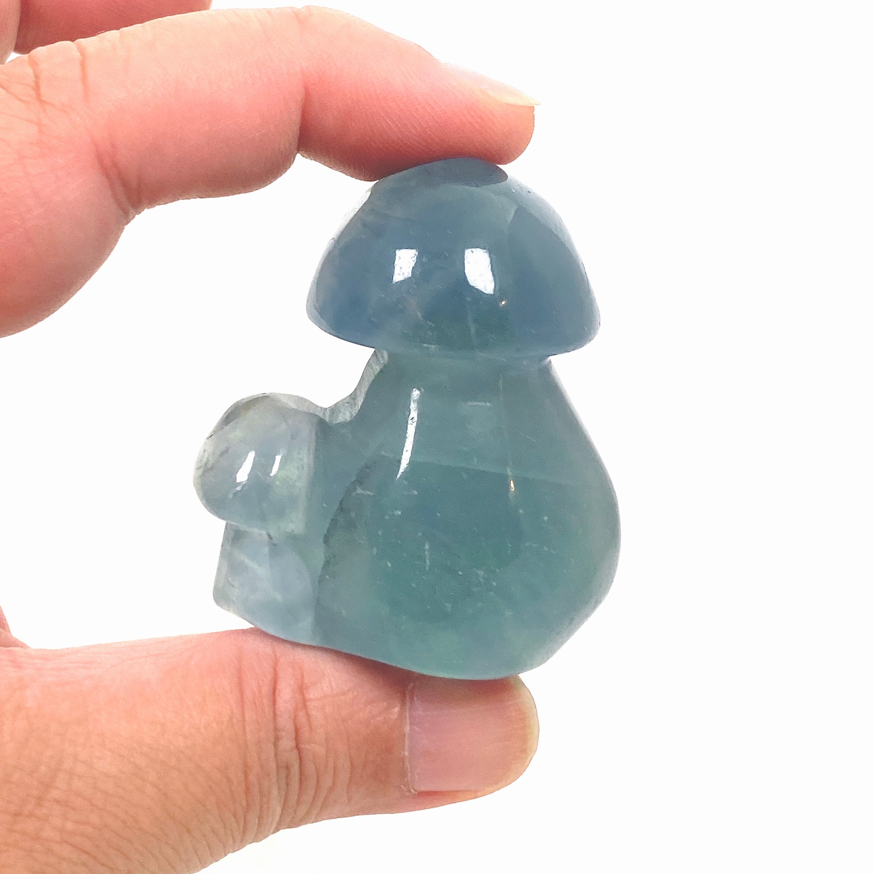 Natural Blue Fluorite Mushroom BFM 01 - Healing Crystal for Meditation, Home Decor & Spiritual Gifts