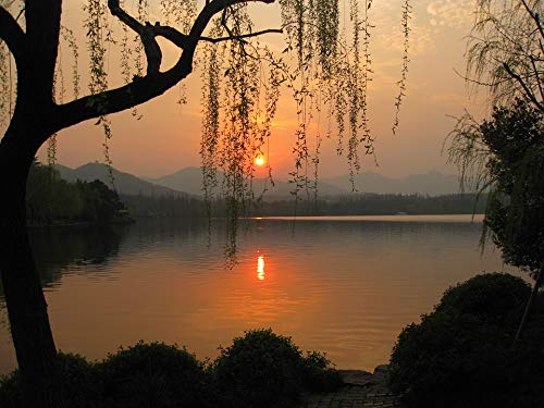 20x30 Inch Sunset Lake Landscape Laminated Poster - Vibrant Colors & High-Quality Print - Perfect for Living Room, Bedroom, or Office Wall Decor