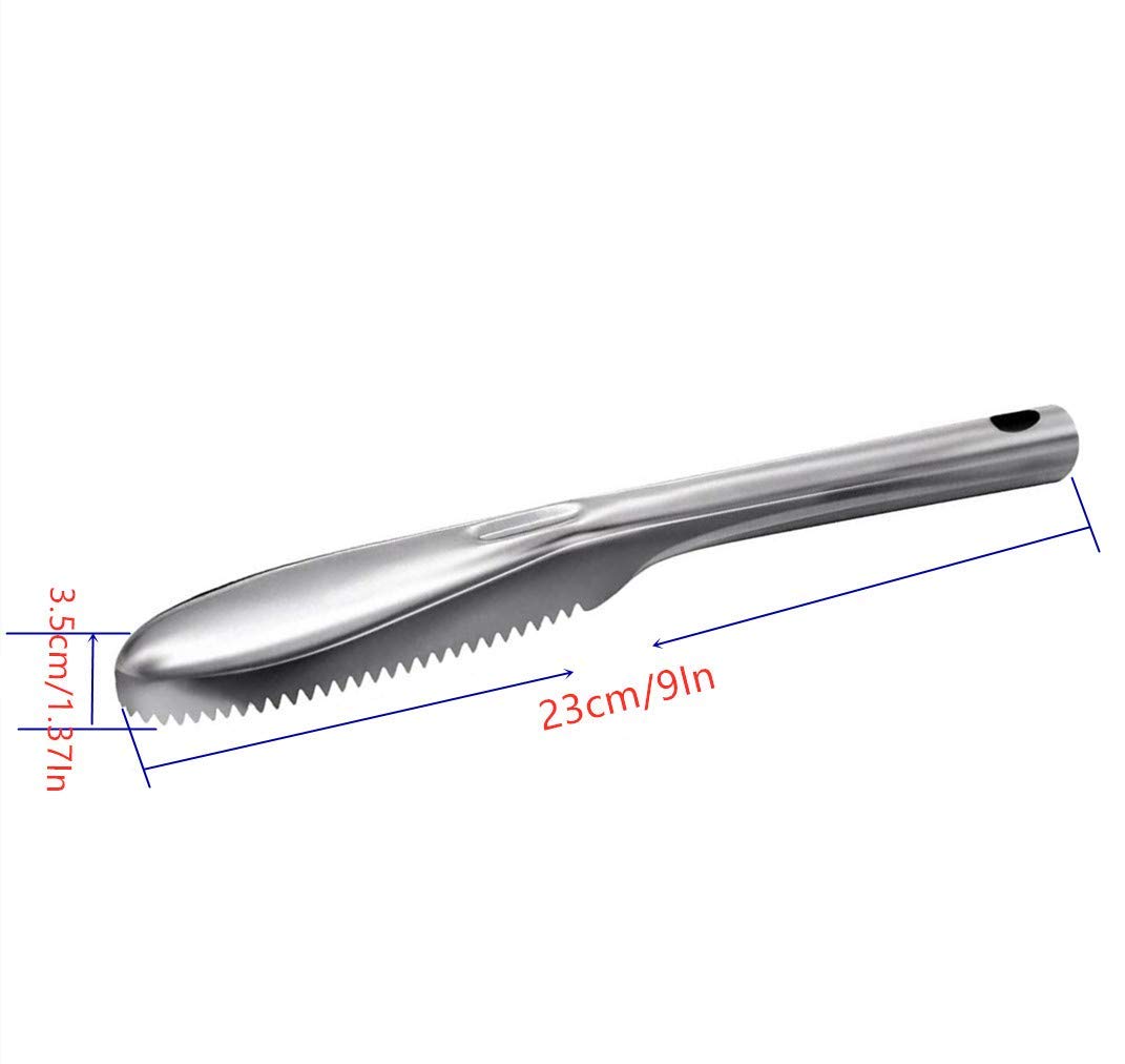Fish Scale Remover Tool - 2 Pack Stainless Steel Scraper for Kitchen & Cooking