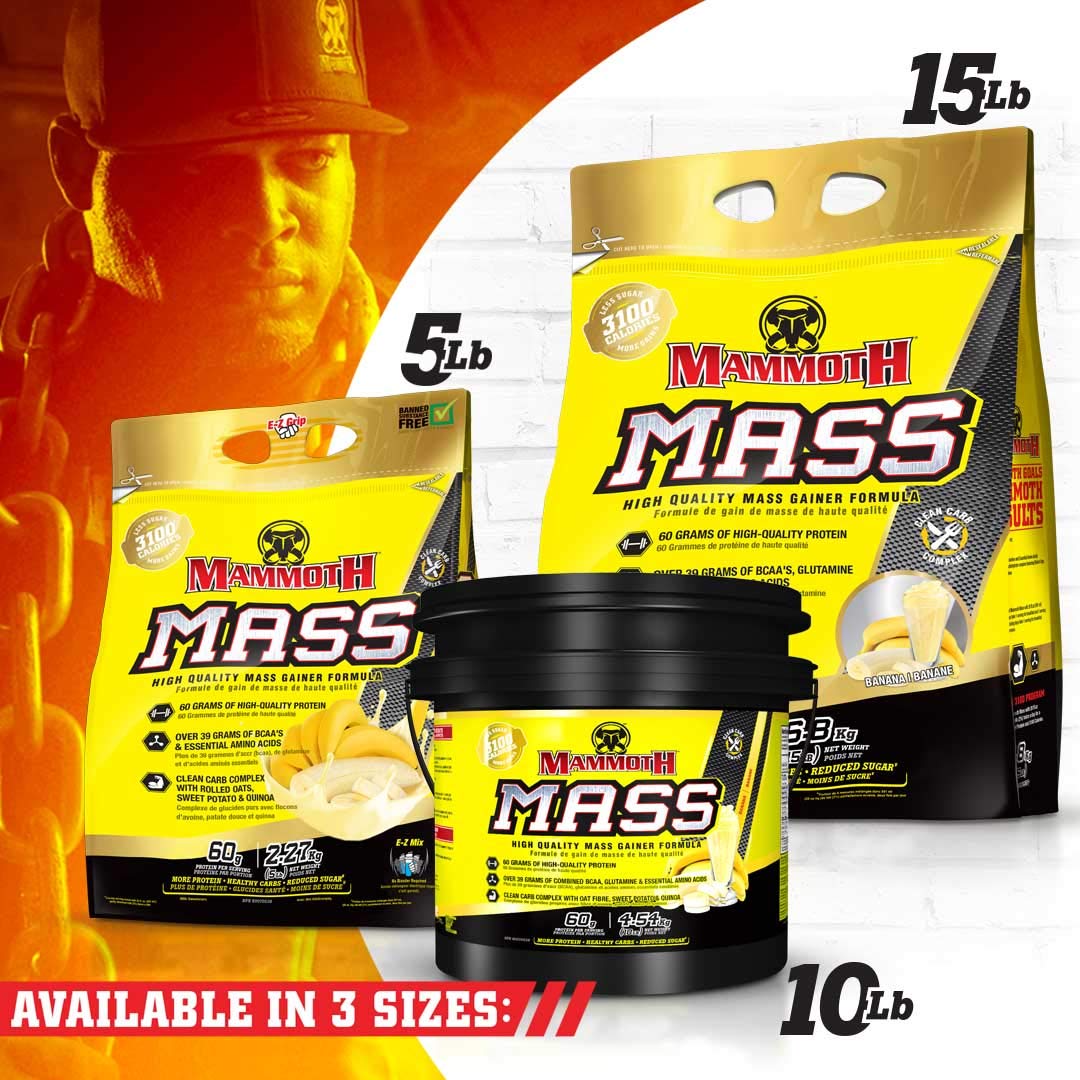 Mammoth Mass Weight Gainer Protein Powder - 15lb High Calorie Muscle Building Shake with Whey Isolate & Casein, Low Sugar Meal Replacement for Weight Training & Bodybuilding - Banana Flavor | Perfect for Post-Workout Recovery & Bulking Season Nutrition