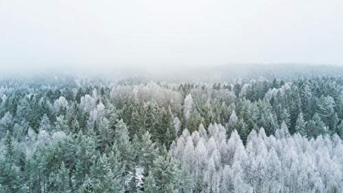 20x30 Inch Laminated Forest Green Aerial Nature Poster - Vibrant Colors & High-Quality Print - Perfect for Home Decor, Office Wall Art & Gift Giving - Fits Standard Frames