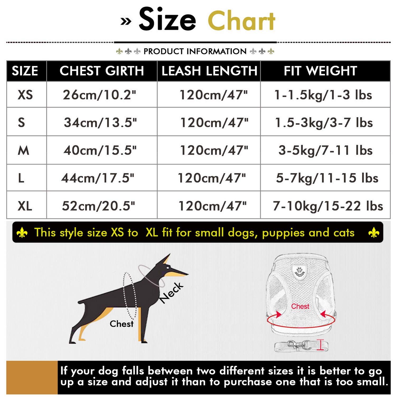 SMALLLEE LUCKY STORE Escape Proof Cat Harness and Leash Set - Adjustable Soft Mesh Vest with Reflective Strips for Small Dogs & Kittens (Pink, Size M) | Perfect for Safe Outdoor Walks, Park Visits & Training Sessions