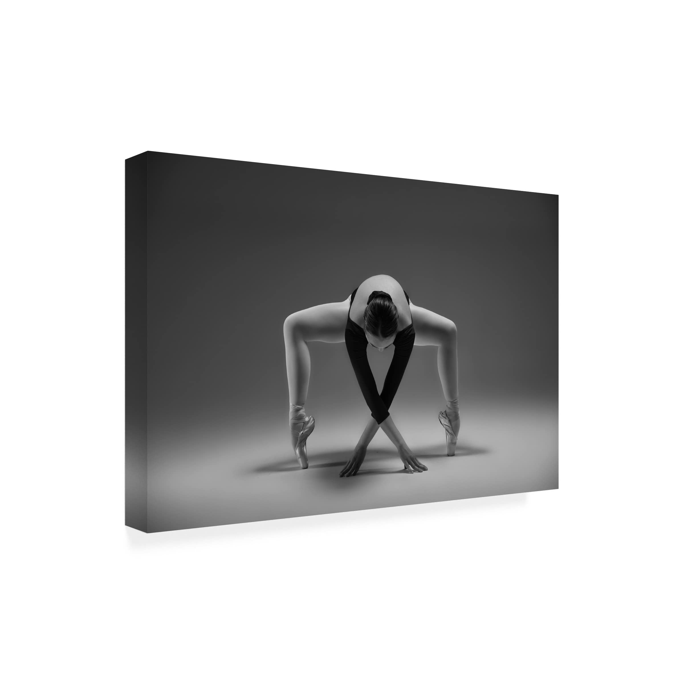 Trademark Fine Art 'Elegant' Canvas Wall Art by Rob Li - Modern Home Decor for Living Room, Bedroom & Office