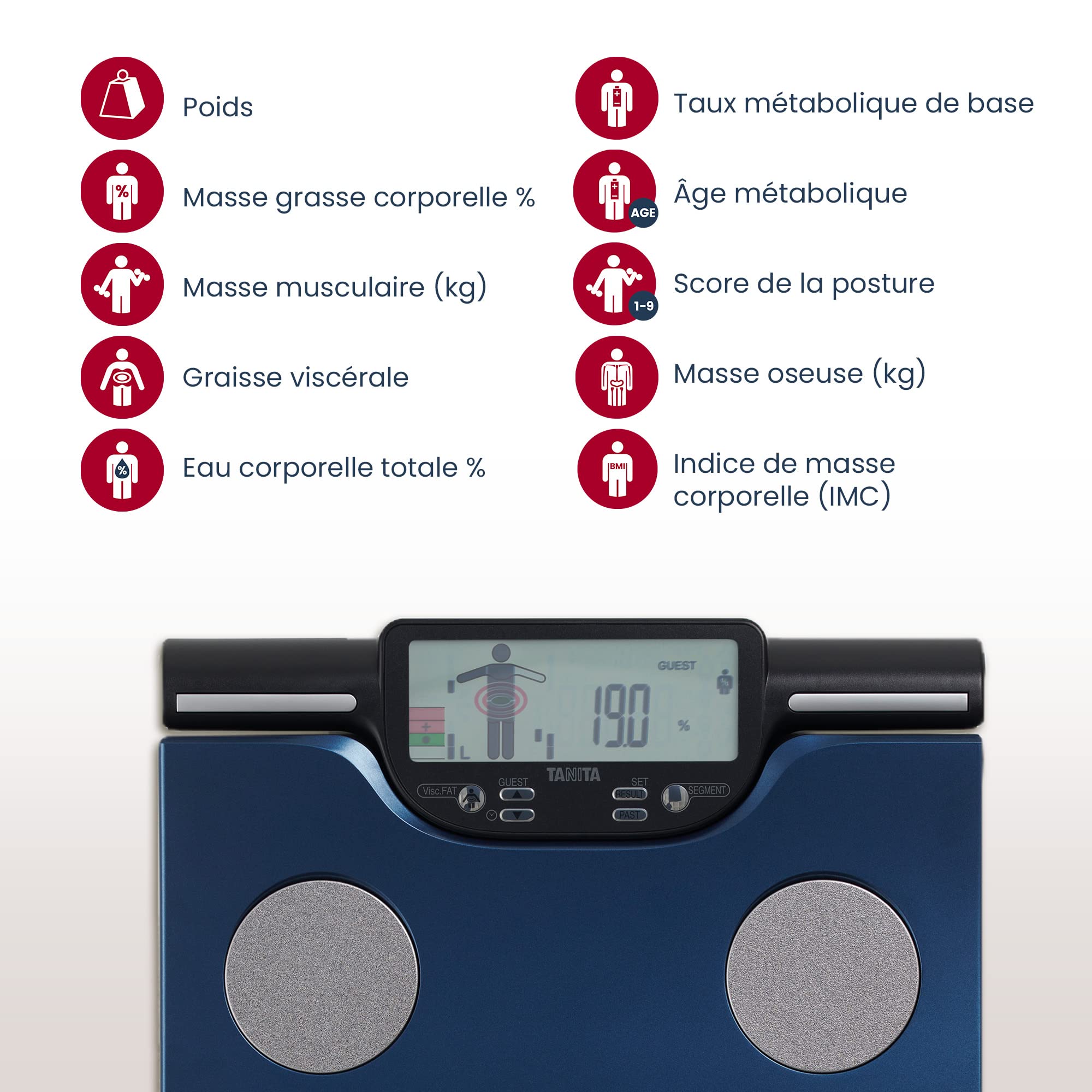 TANITA BC-602 Digital Body Composition Scale - Measures Body Fat, Muscle Mass & Daily Calorie Needs by Body Segment - 8 User Memory - Blue | Perfect for Home Gym, Weight Loss Tracking & Fitness Monitoring