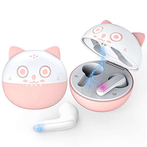A pink cat