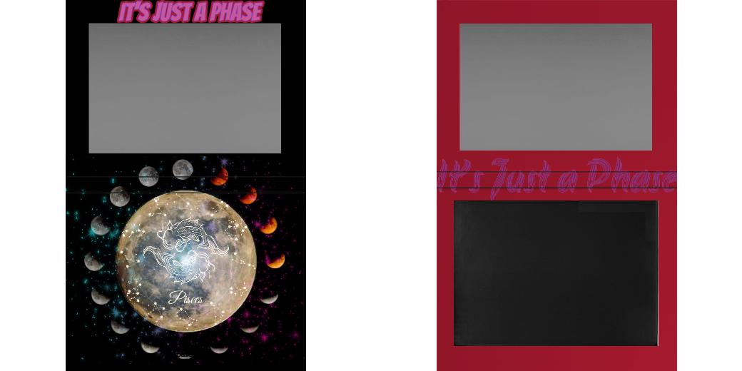 Custom Extra Large Z Palette - Magnetic Makeup Palette for Eyeshadows & Blush - Perfect for Makeup Artists & Travel Organizers