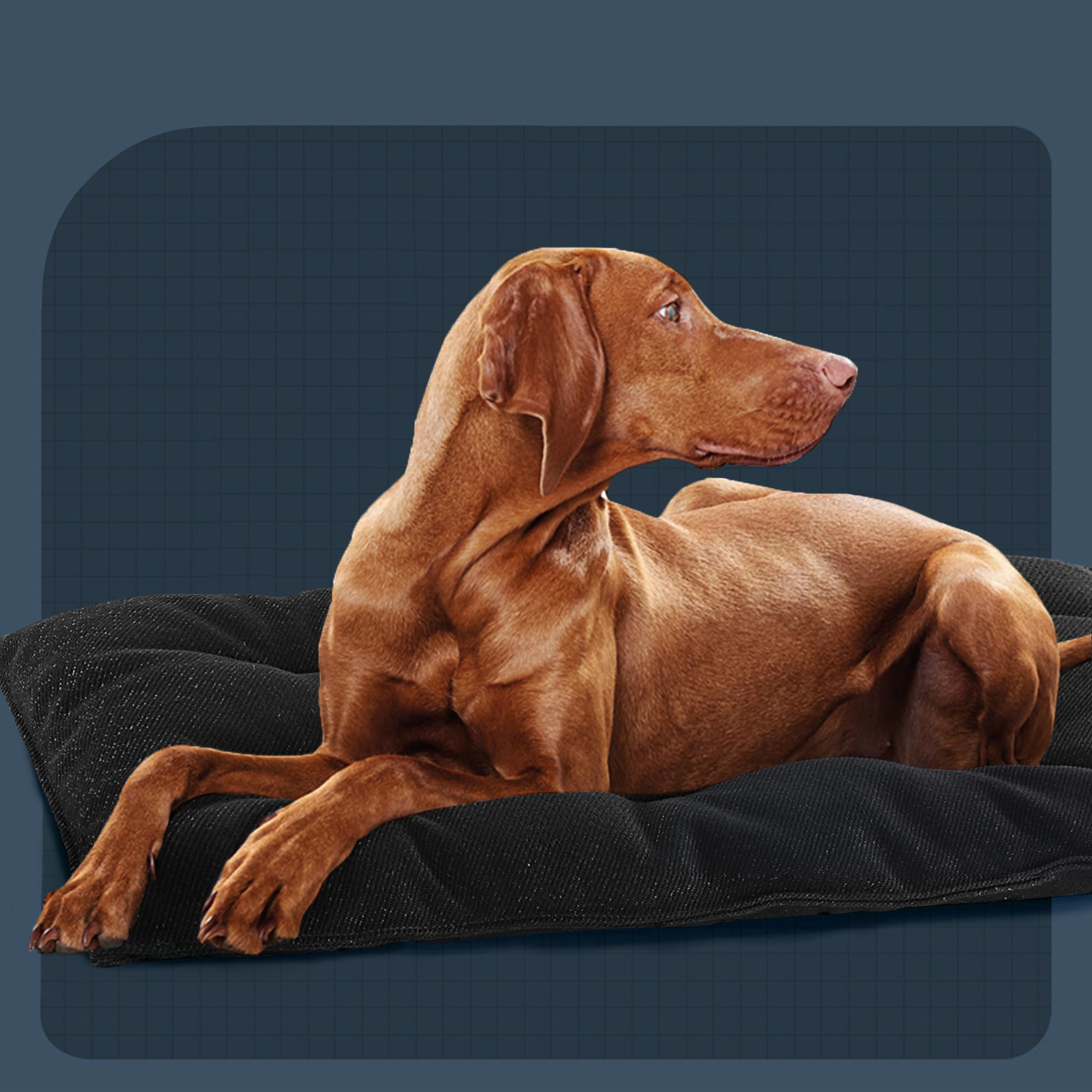 **MABOZOO Chew Proof Indestructible Dog Bed for Aggressive Chewers - Durable XL Dog Crate Pad (28x41 in) - Washable Tough Pet Mat for Kennel, Crate & Home Use - Black**