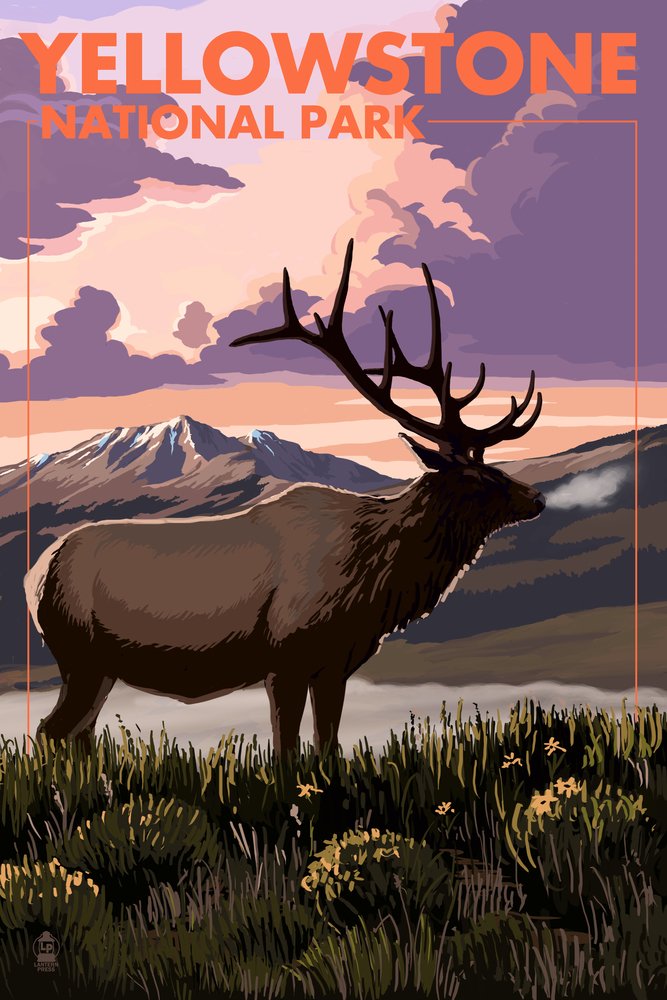 Lantern Press 16x24 Inch Giclee Art Print - Yellowstone National Park Landscape with Elk at Sunset - Premium Wall Decor for Living Room, Office & Cabin