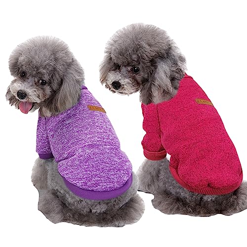 Purple+Wine red