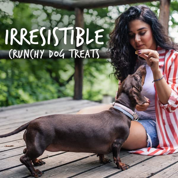 Fruitables Baked Pumpkin & Cranberry Dog Treats - Healthy Low Calorie, Grain-Free Dog Snacks with No Wheat, Corn or Soy - 198g for Training & Digestive Health