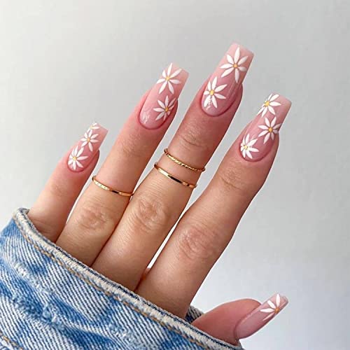 White Daisy-C06