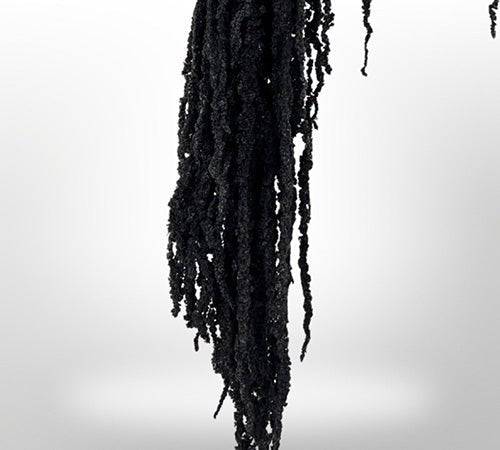 Dried Amaranthus Flowers for Home Decor | Natural Preserved Floral Arrangements | Perfect for Wedding, Party & DIY Crafts