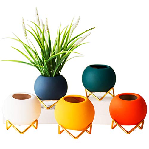 Ceramic Plant Pots with Gold Metal Stand - 4 Inch Indoor Flower Pots for Herbs, Orchids, Cacti & Succulents (Set of 5) - Perfect for Home Decor, Office Desk & Gift Giving