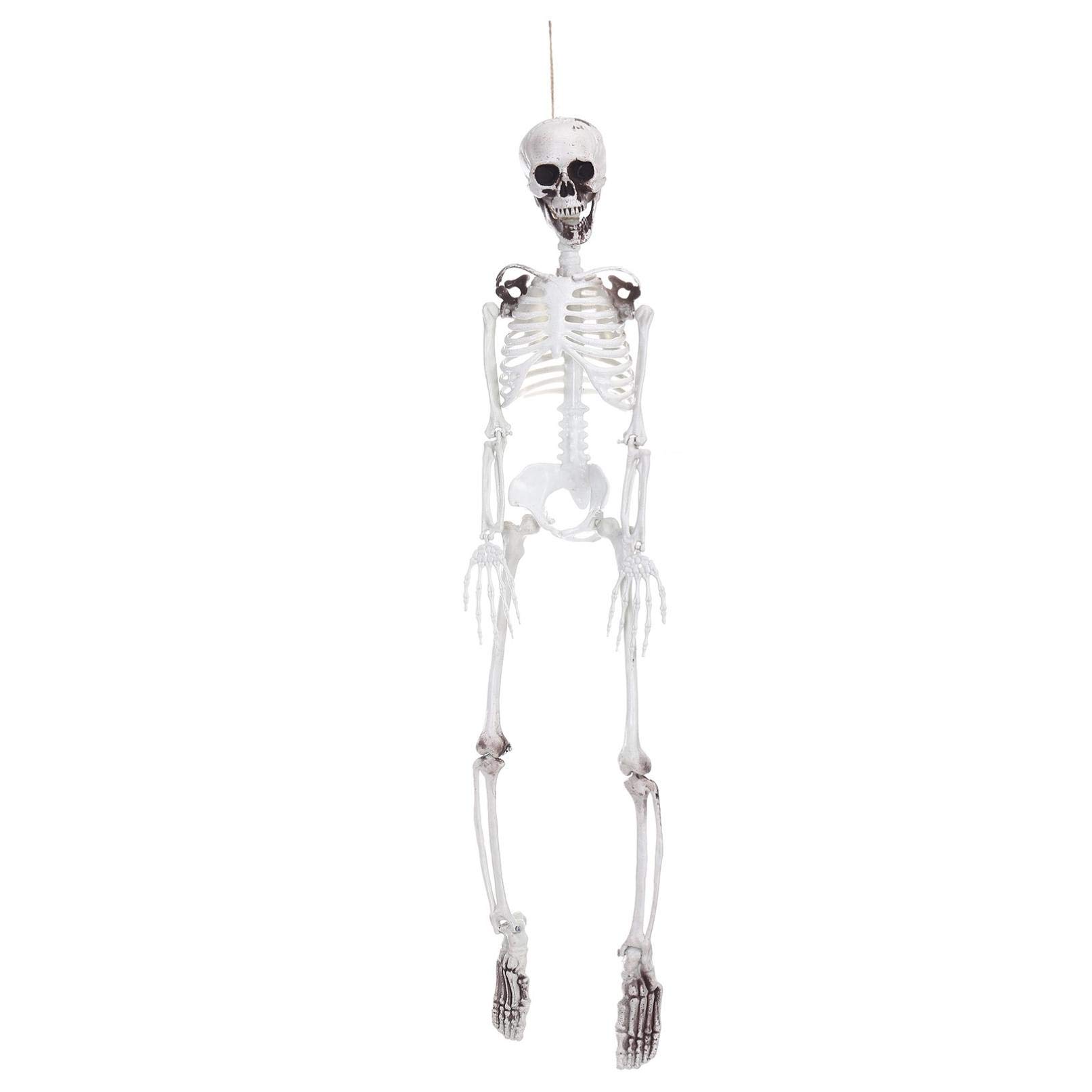 Realistic Full Size Human Skull Skeleton - Anatomical Halloween Decoration for Scary Party, Haunted House & Trick or Treat Props - Perfect for Halloween Decor, Horror Movie Setups & Spooky Photo Shoots
