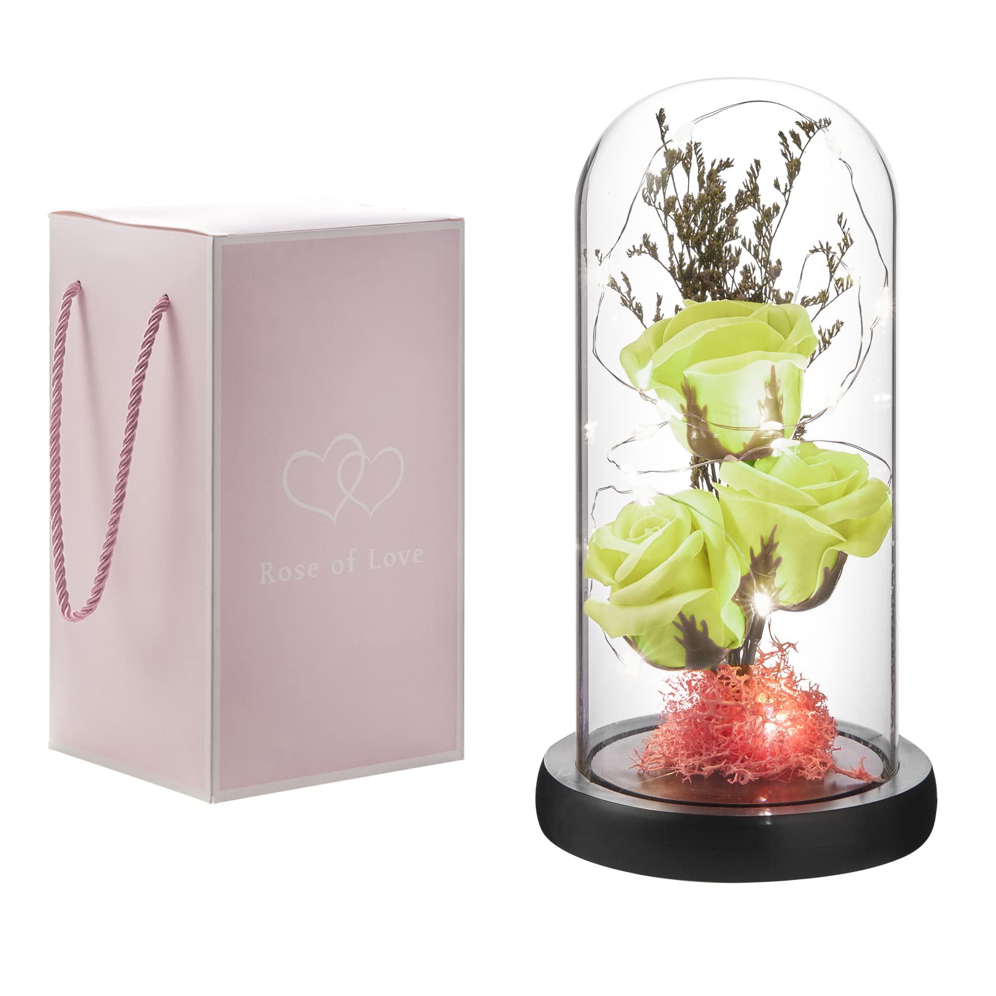 Oridom Preserved Rose in Glass Dome with LED Light - Eternal Flower Gift for Women, Mom, Grandma - Perfect for Mother’s Day, Valentine’s, Anniversary, Birthday & Christmas Decor (Green) - Romantic Home Decor & Thoughtful Present