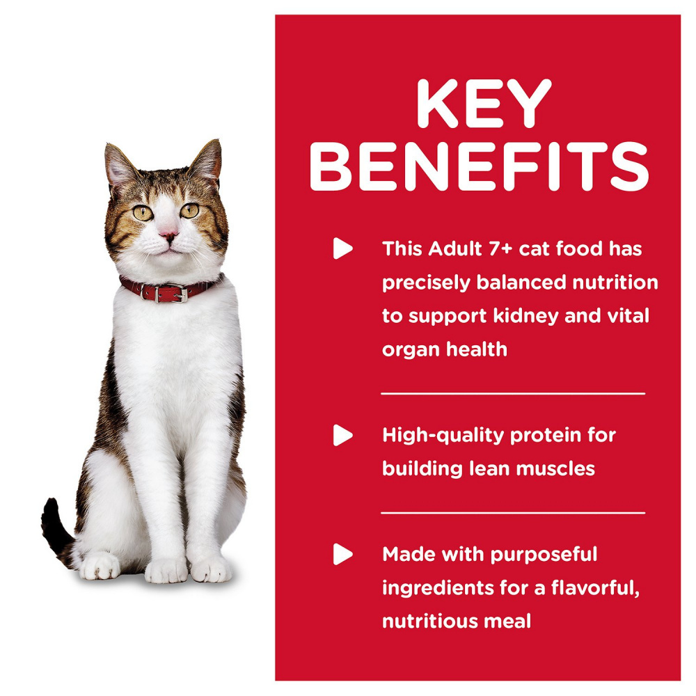 Hill's Science Diet Adult 7+ Savory Beef Entree Canned Cat Food - High Protein Wet Cat Food for Senior Cats - Perfect for Mealtime & Weight Management
