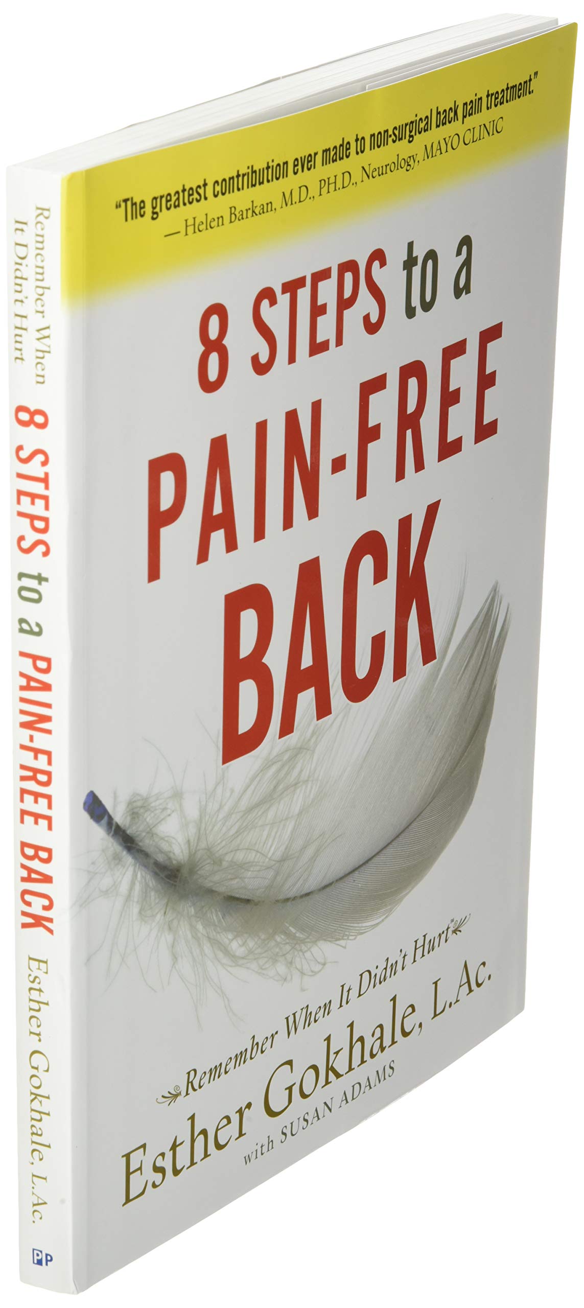8 Steps to a Pain-Free Back: Effective Exercises & Stretches for Relief at Home, Work & Travel