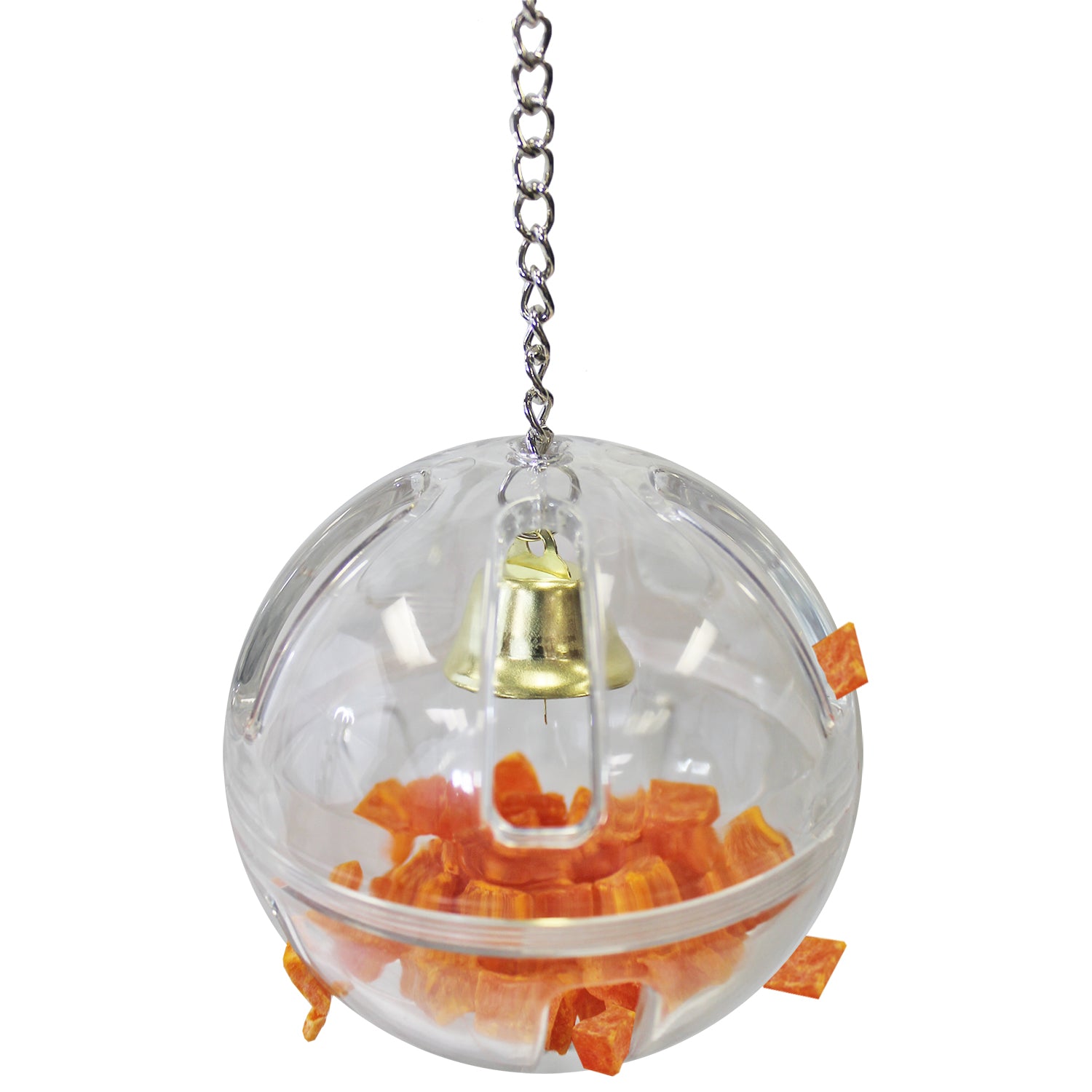 Forage Globe - Premium Glass Terrarium for Succulents, Air Plants & Miniature Gardens - Perfect for Home Decor, Office Desk & Gift Ideas