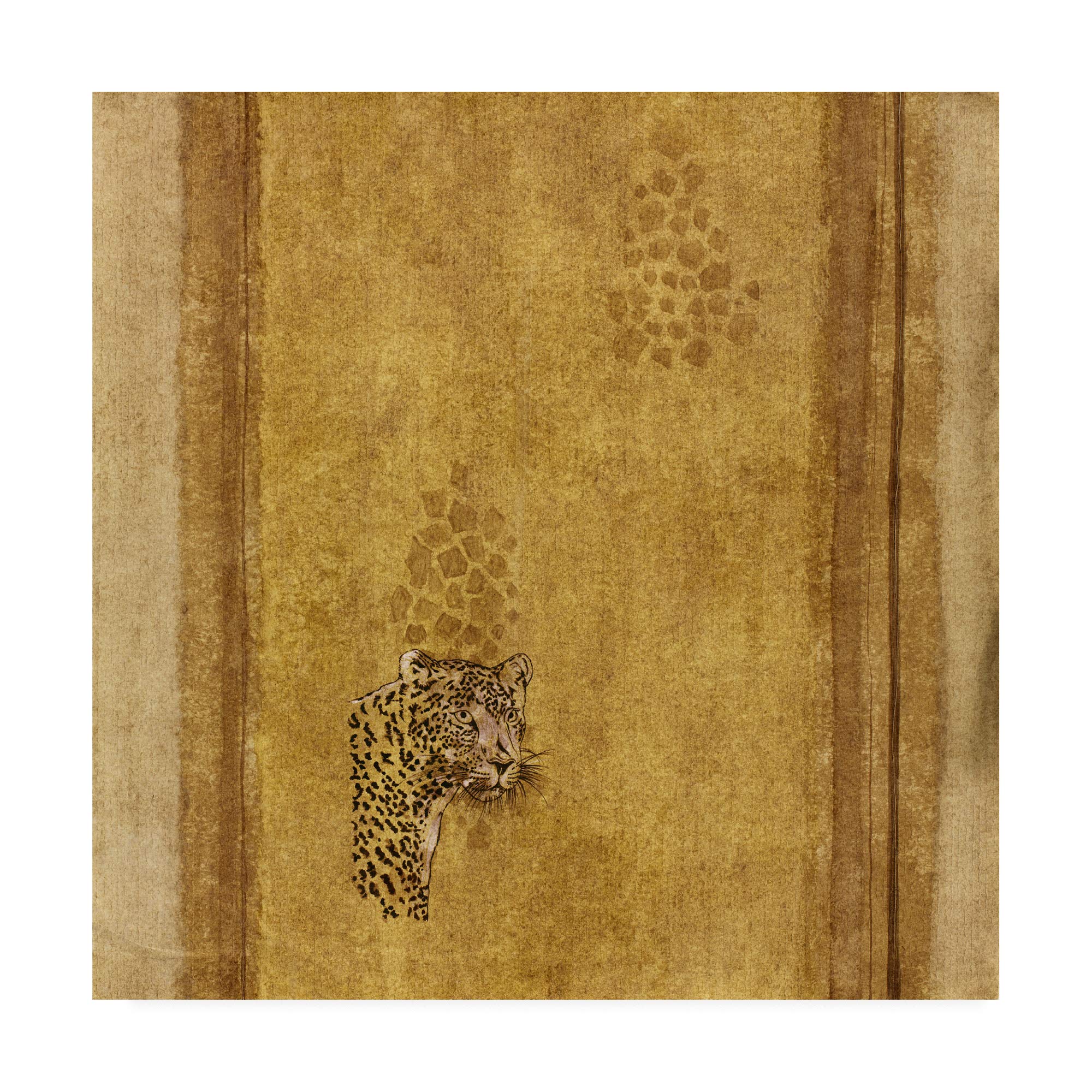 Pablo Esteban Leopard Over Bold Framed Art Print - 18x18 Inches Modern Animal Wall Decor for Living Room, Bedroom & Office