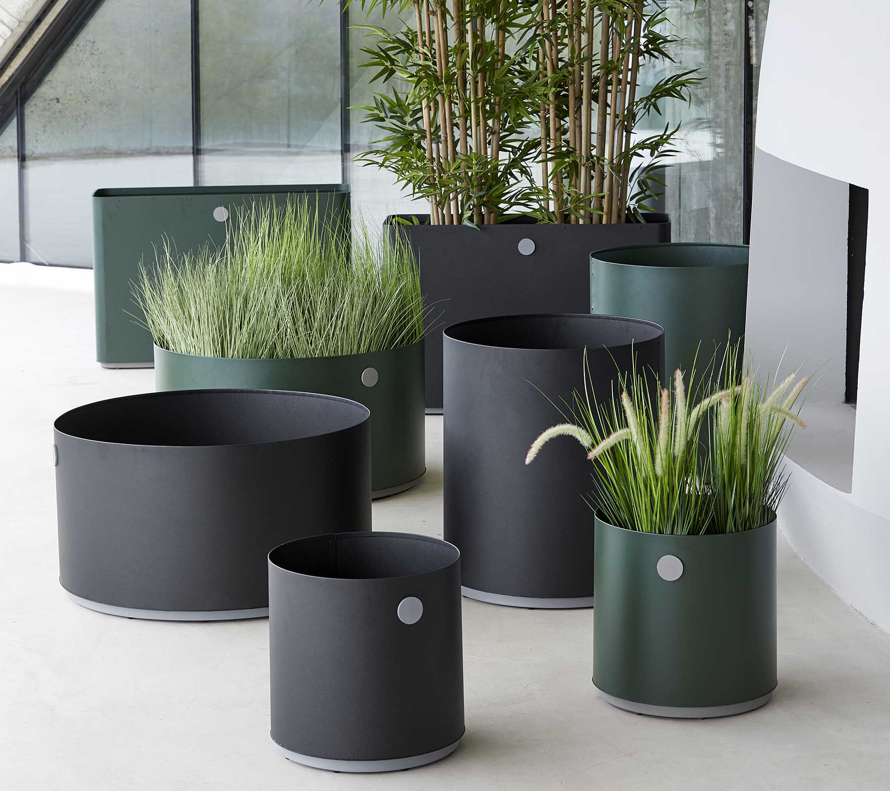 Best Medium Grow Planter for Indoor Plants - Perfect for Home Gardening, Herbs, and Succulents