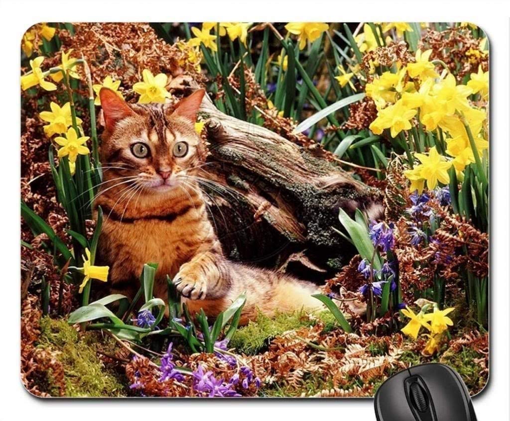 Premium Kitty Among Daffodils Mouse Pad - Cute Cat-Themed Non-Slip Mousepad for Office & Gaming - Perfect Gift for Cat Lovers