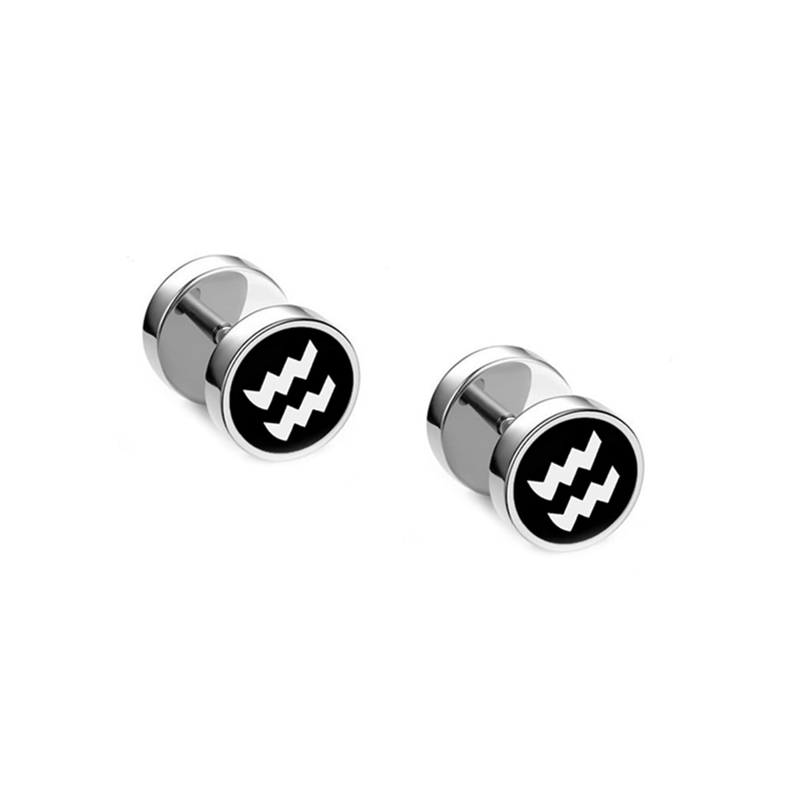 Stainless Steel Zodiac Sign Stud Earrings for Women & Men - Perfect for Daily Wear, Gifts & Astrology Lovers